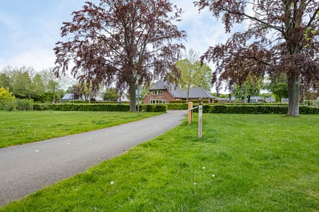 Hibiscusstraat thumbnail