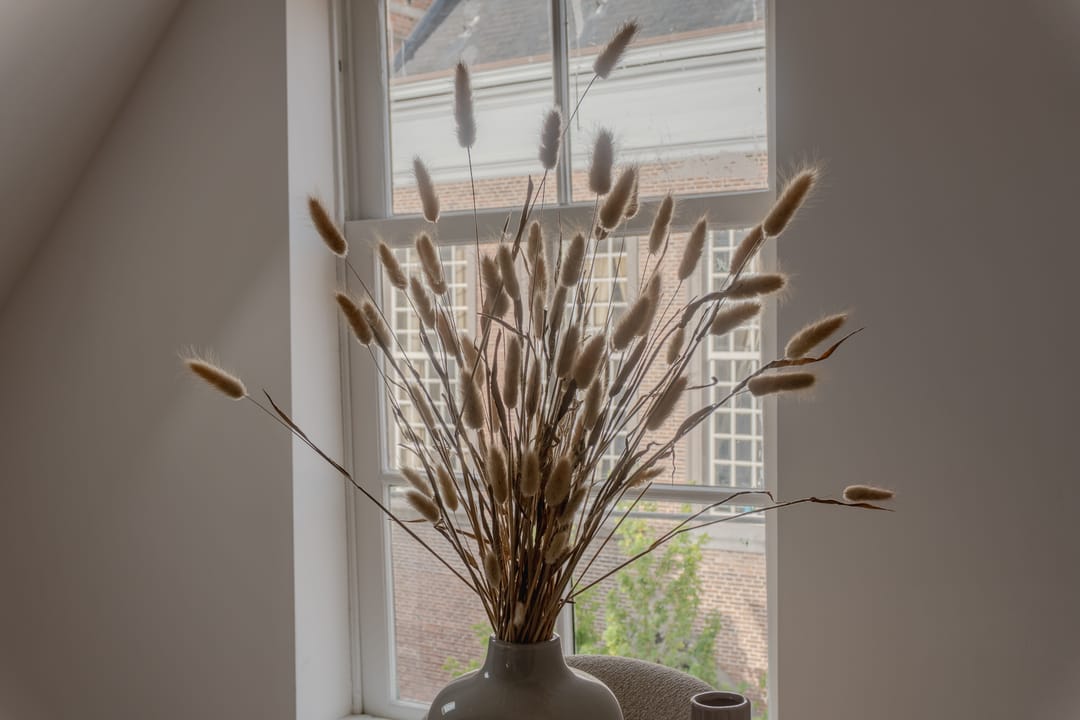 Photo 23 of Ostendestraat 6-B