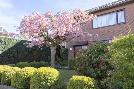 Beatrixstraat thumbnail