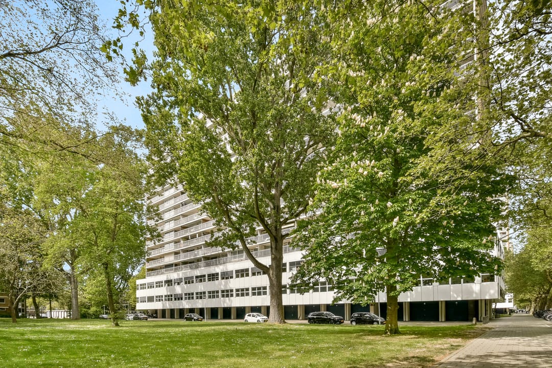 Photo 28 of Weerdestein 155