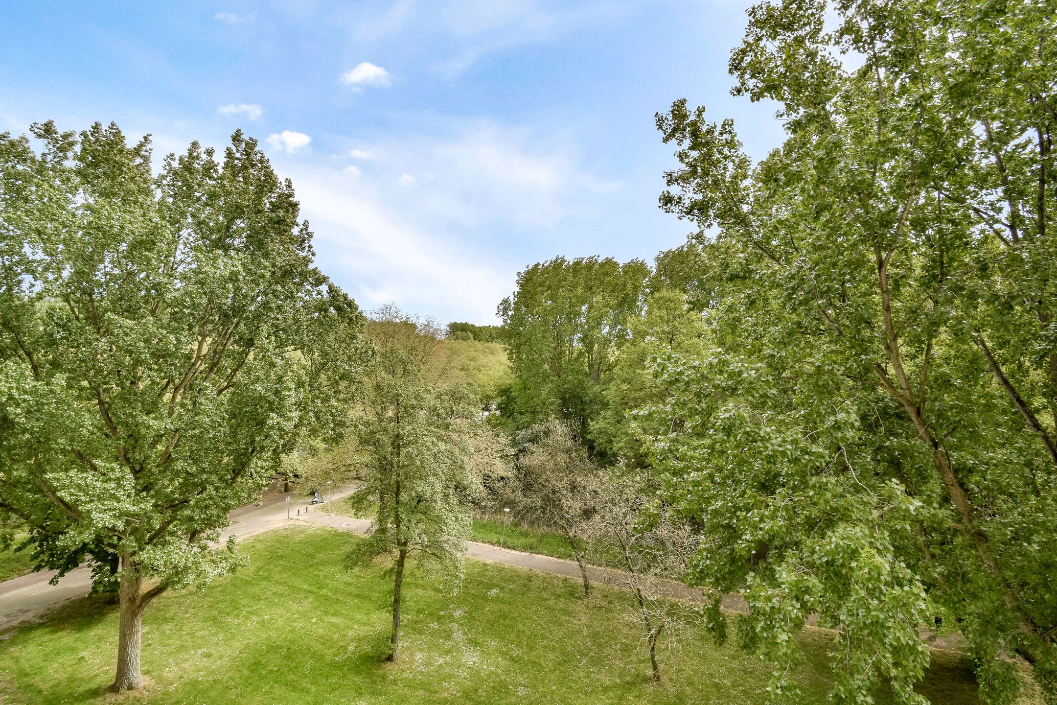 Photo 12 of Weerdestein 155