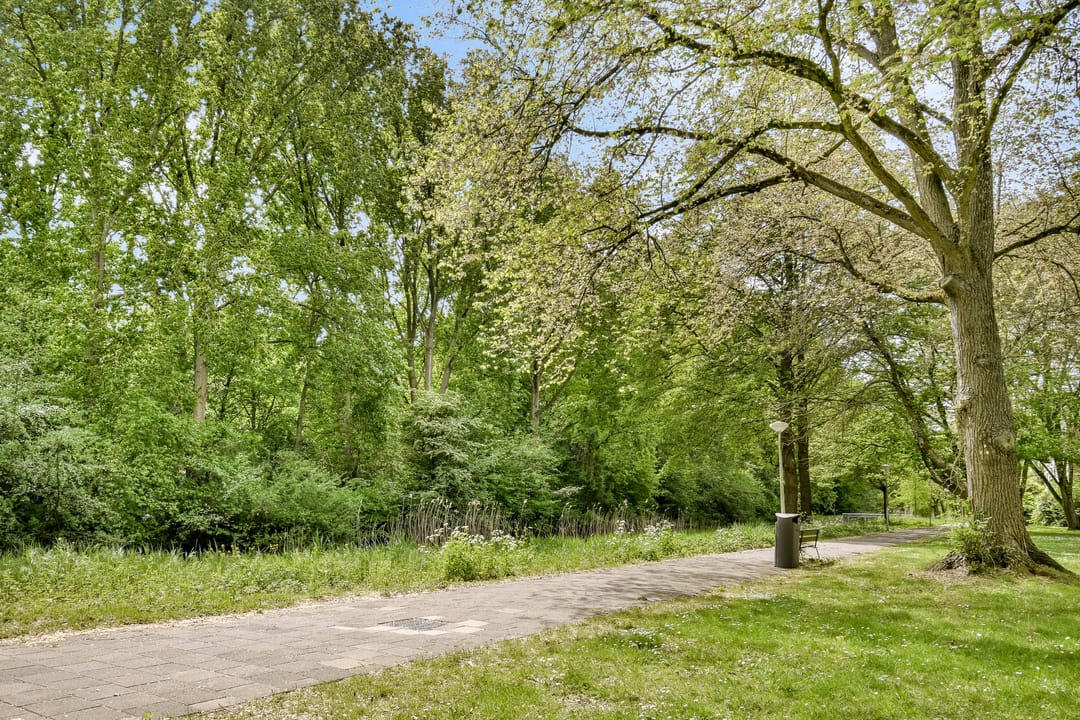 Photo 26 of Weerdestein 155