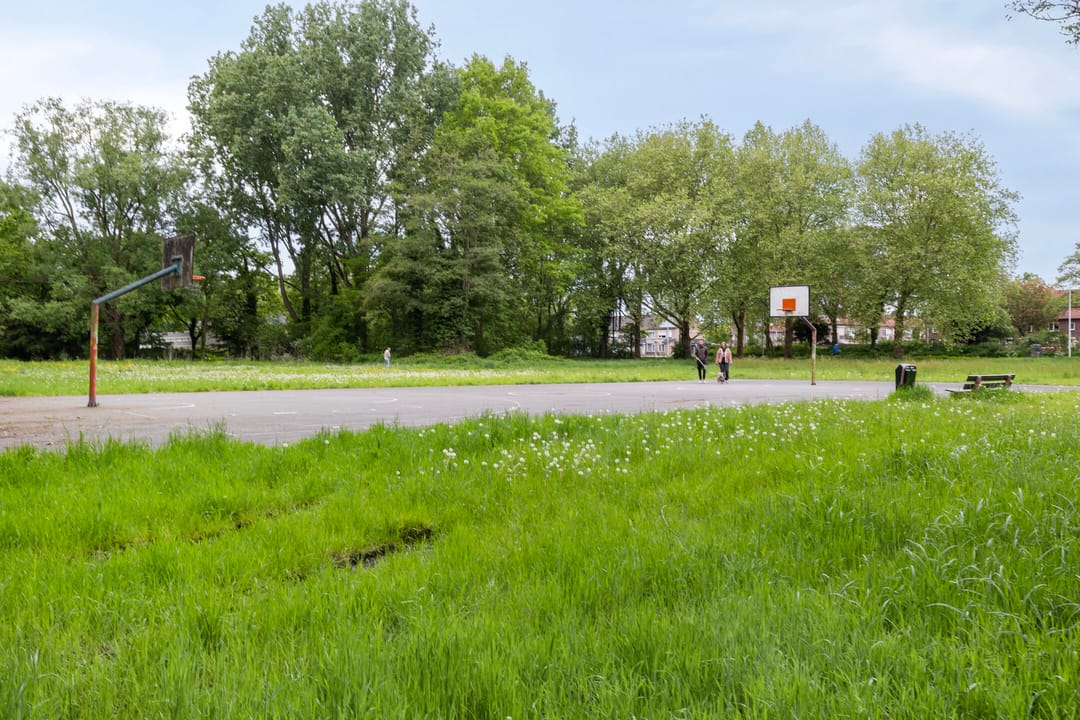 Photo 32 of Obrechtlaan 38
