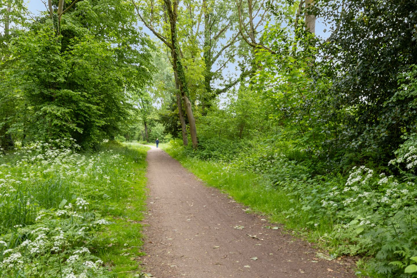 Photo 34 of Obrechtlaan 38
