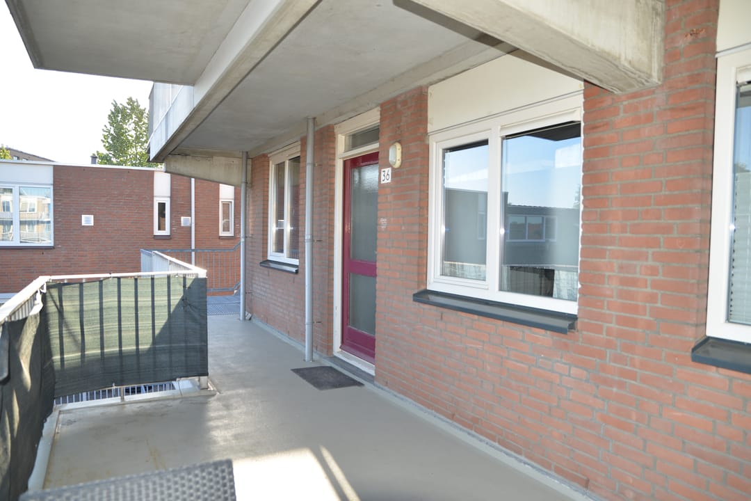 Photo 7 of Rapenburgerschans 36