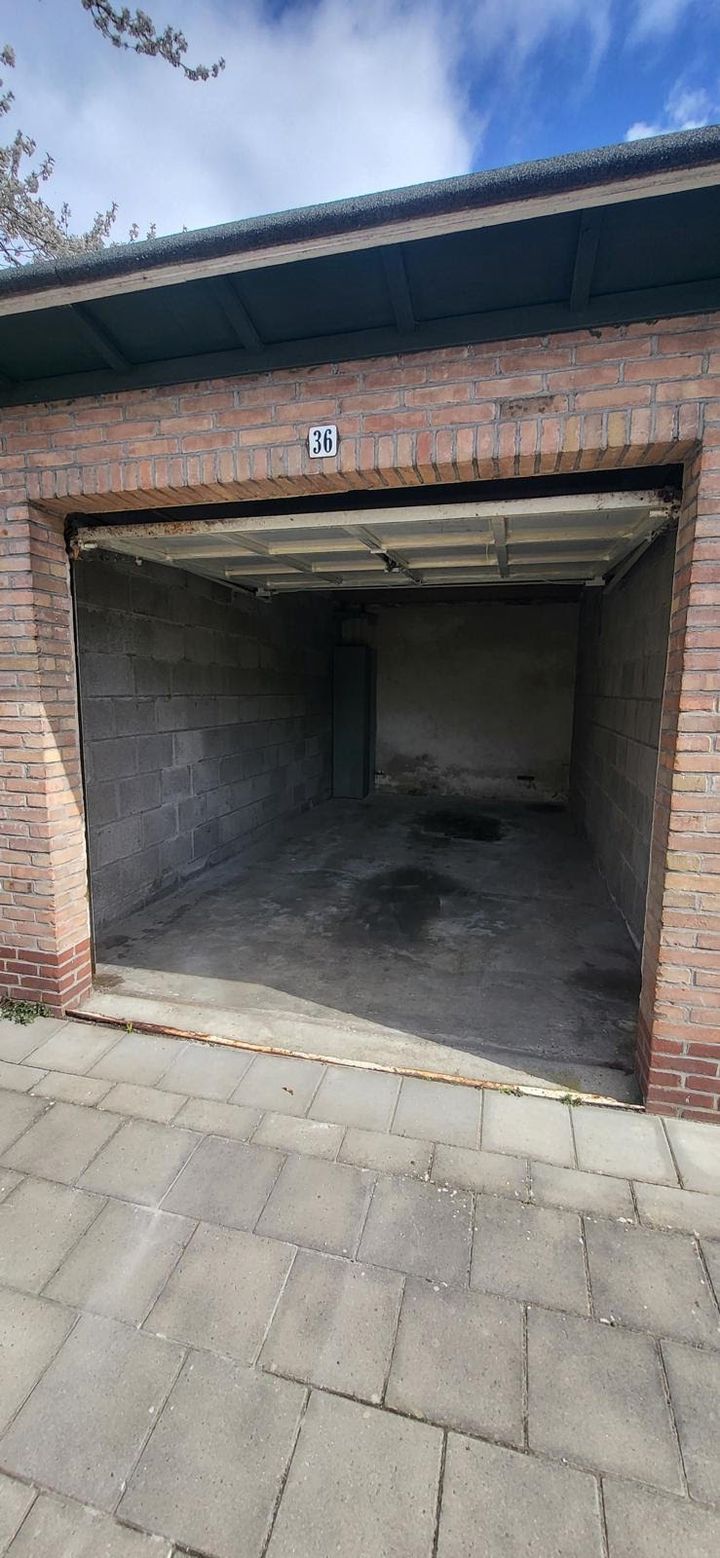 Photo 2 of Meeuwenweg 36