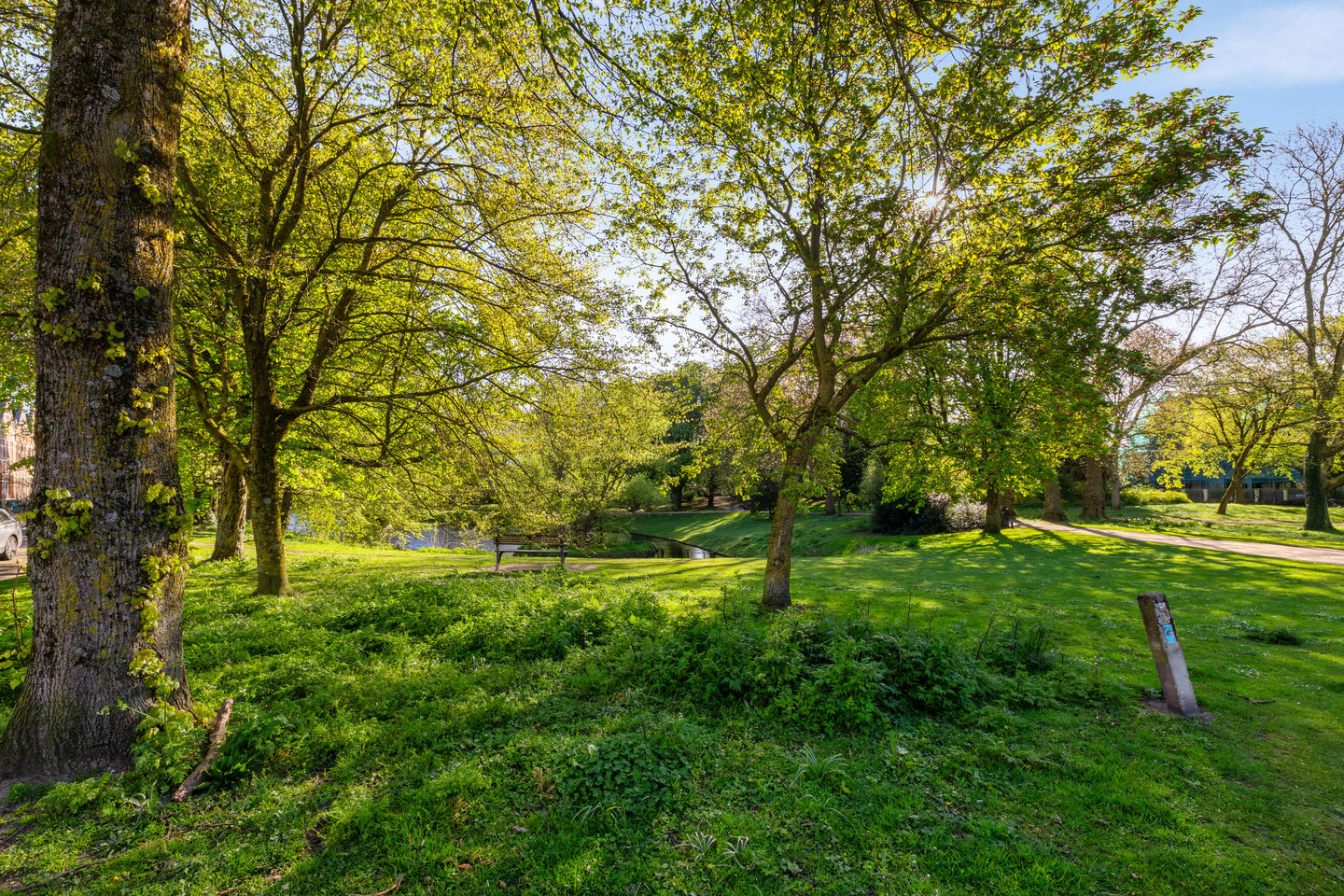 Photo 40 of Noorderbuitensingel 38-A