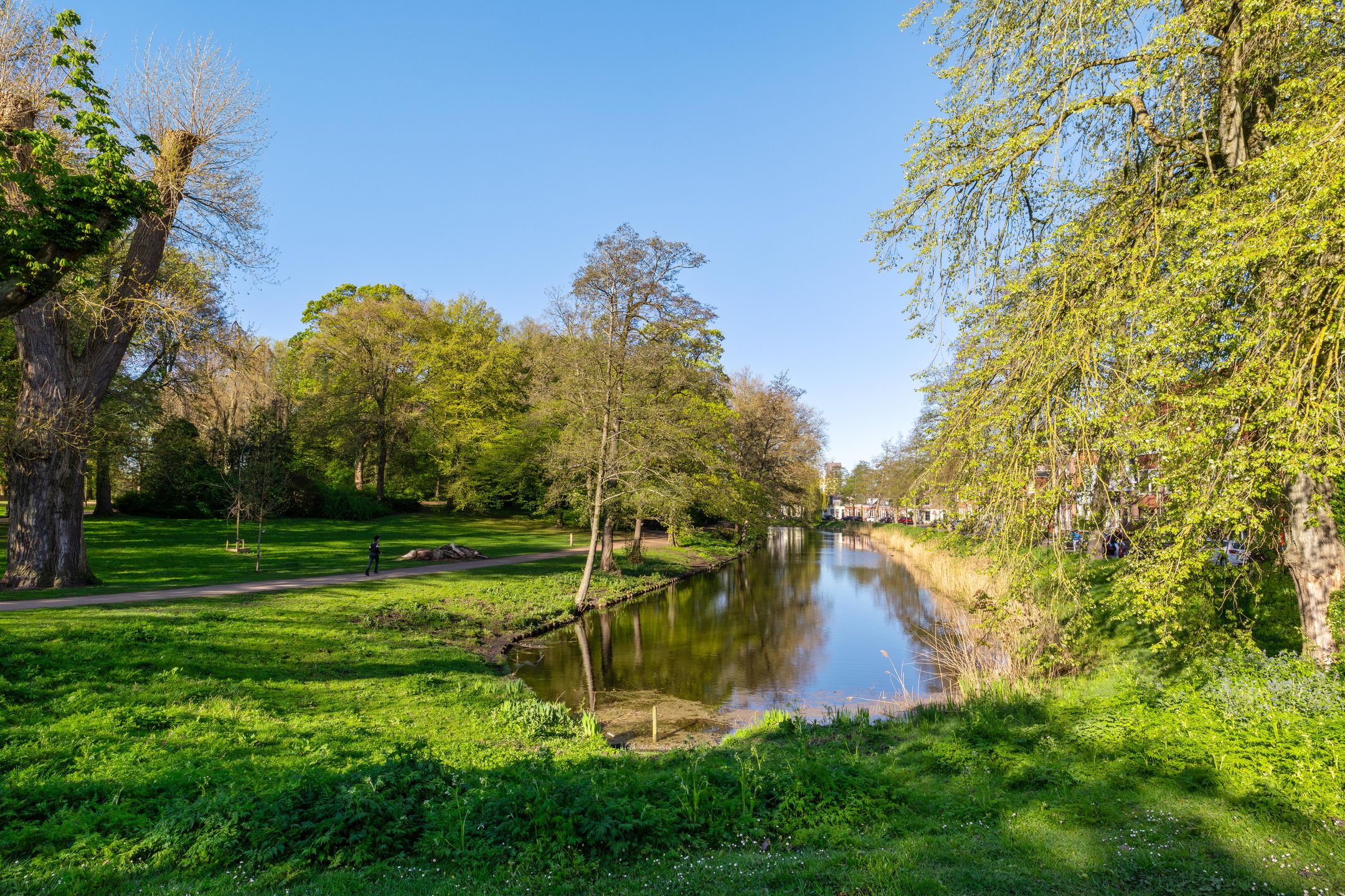 Photo 39 of Noorderbuitensingel 38-A