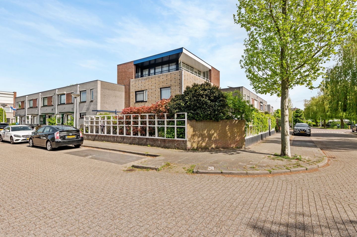 Foto 40 van Lupine 11