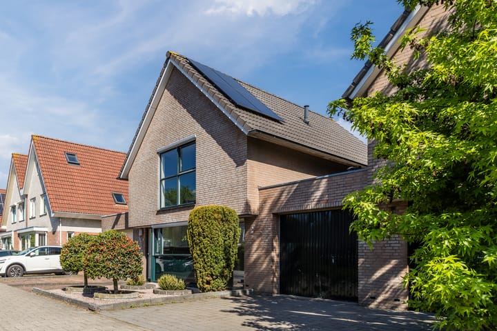 Foto 4 van Hoefblad 7
