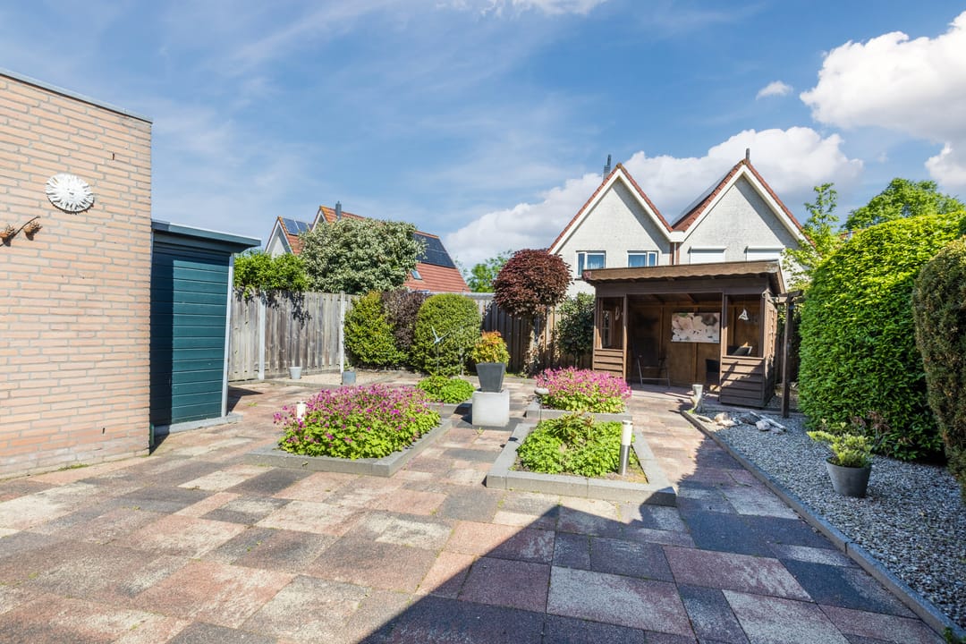 Foto 32 van Hoefblad 7