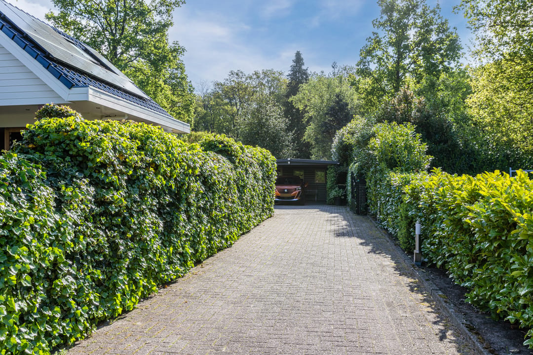 Photo 61 of Meerboomweg 181