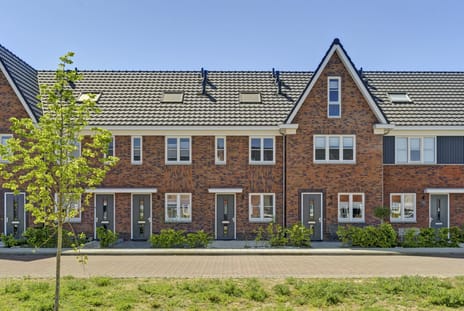 Dokter Leo van der Laanstraat thumbnail