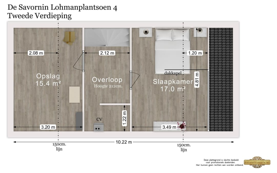 Foto 56 van De Savornin Lohmanplantsoen 4