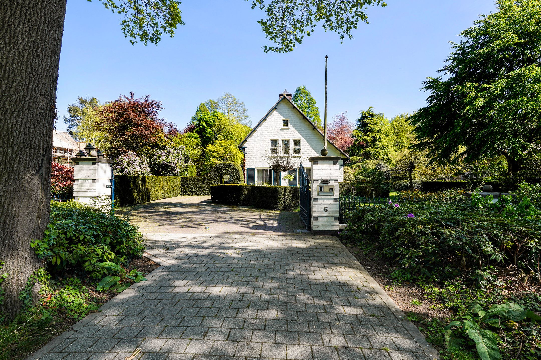 Photo 66 of van Brederodelaan 5
