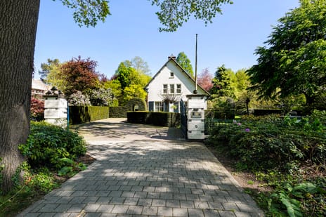 van Brederodelaan thumbnail