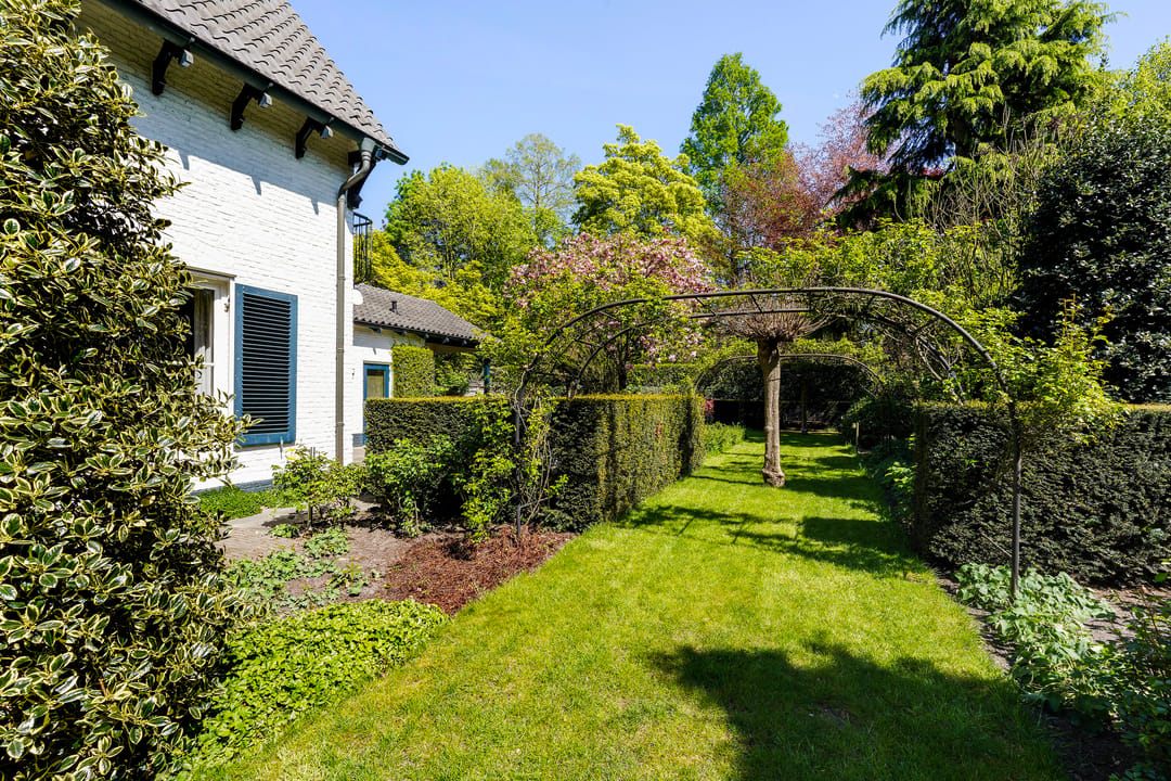 Photo 58 of van Brederodelaan 5
