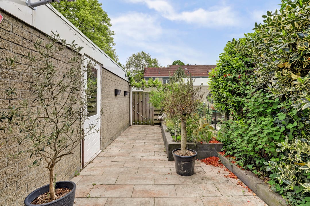 Photo 37 of Swammerdamstraat 37