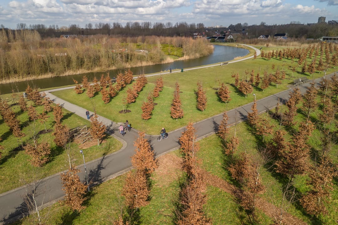 Foto 46 van Vuurvlindersingel 11
