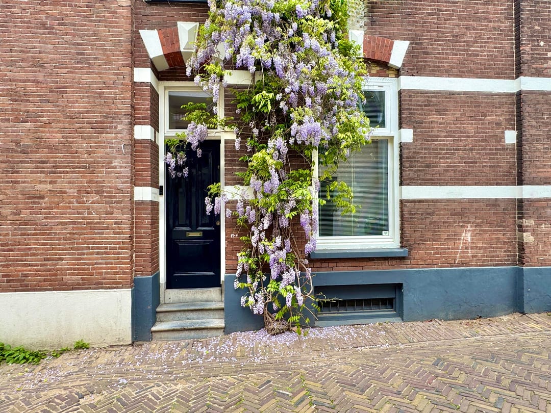 Foto 53 van Wolvenplein 10-BS
