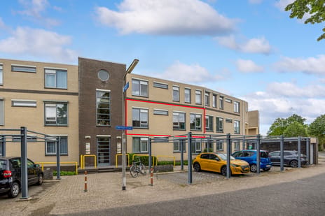 Springerstraat thumbnail