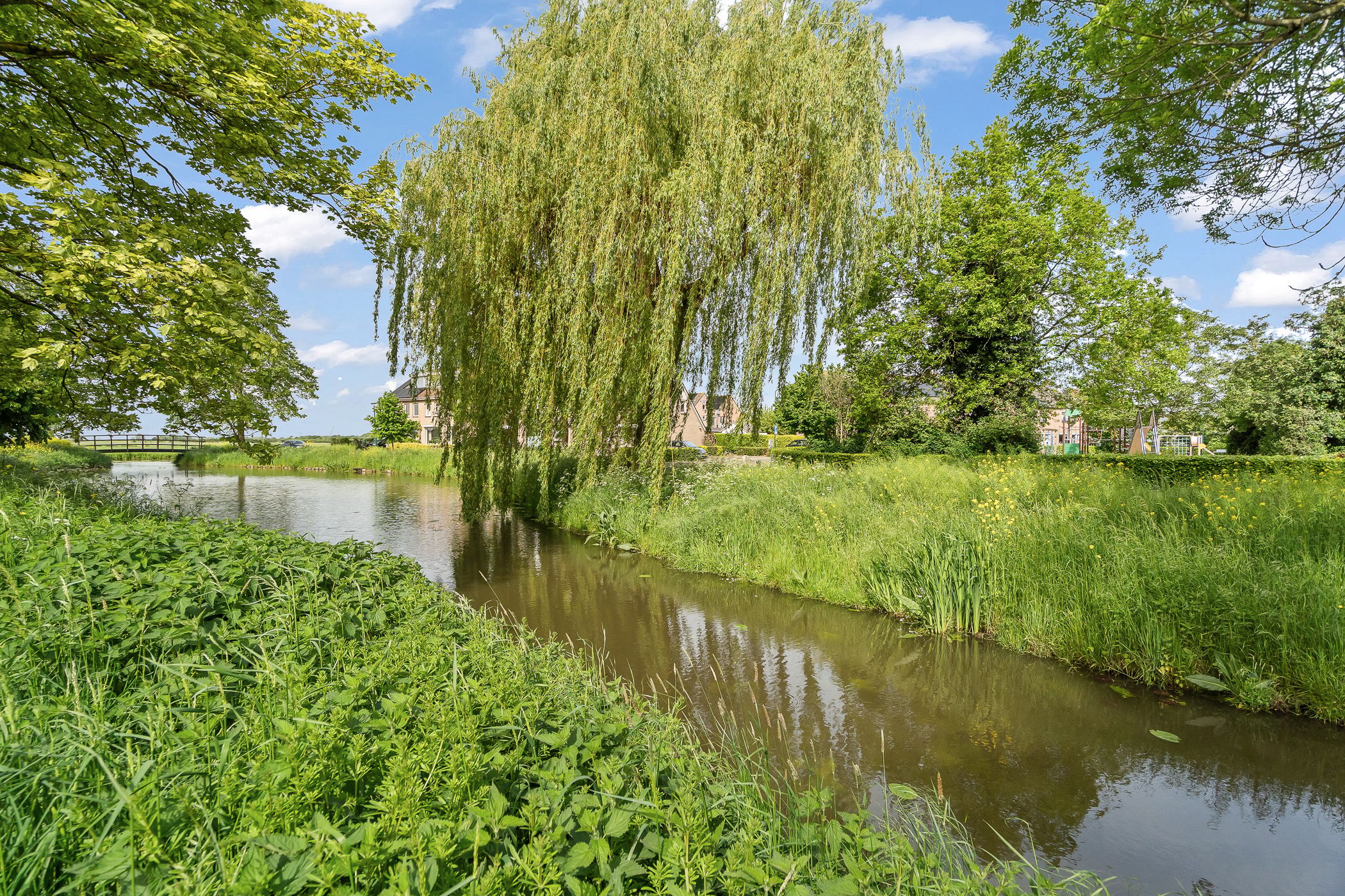 Foto 48 van Zwaluwpad 3
