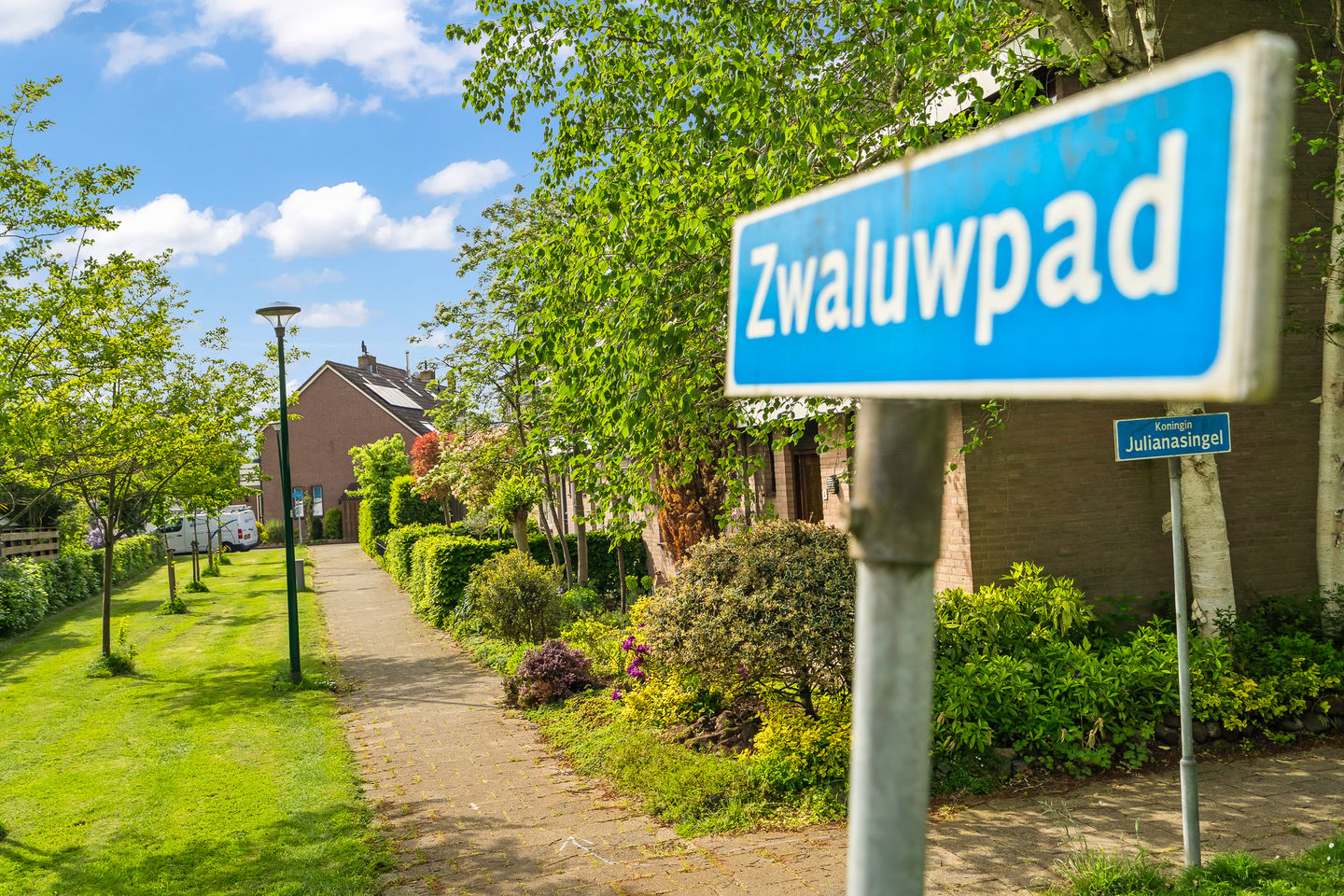 Foto 50 van Zwaluwpad 3