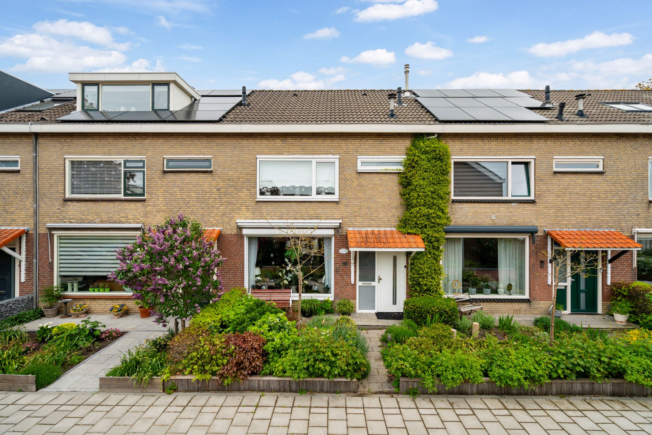 Chrysantenhof 63 