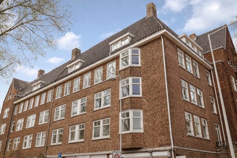 Albert Neuhuysstraat thumbnail