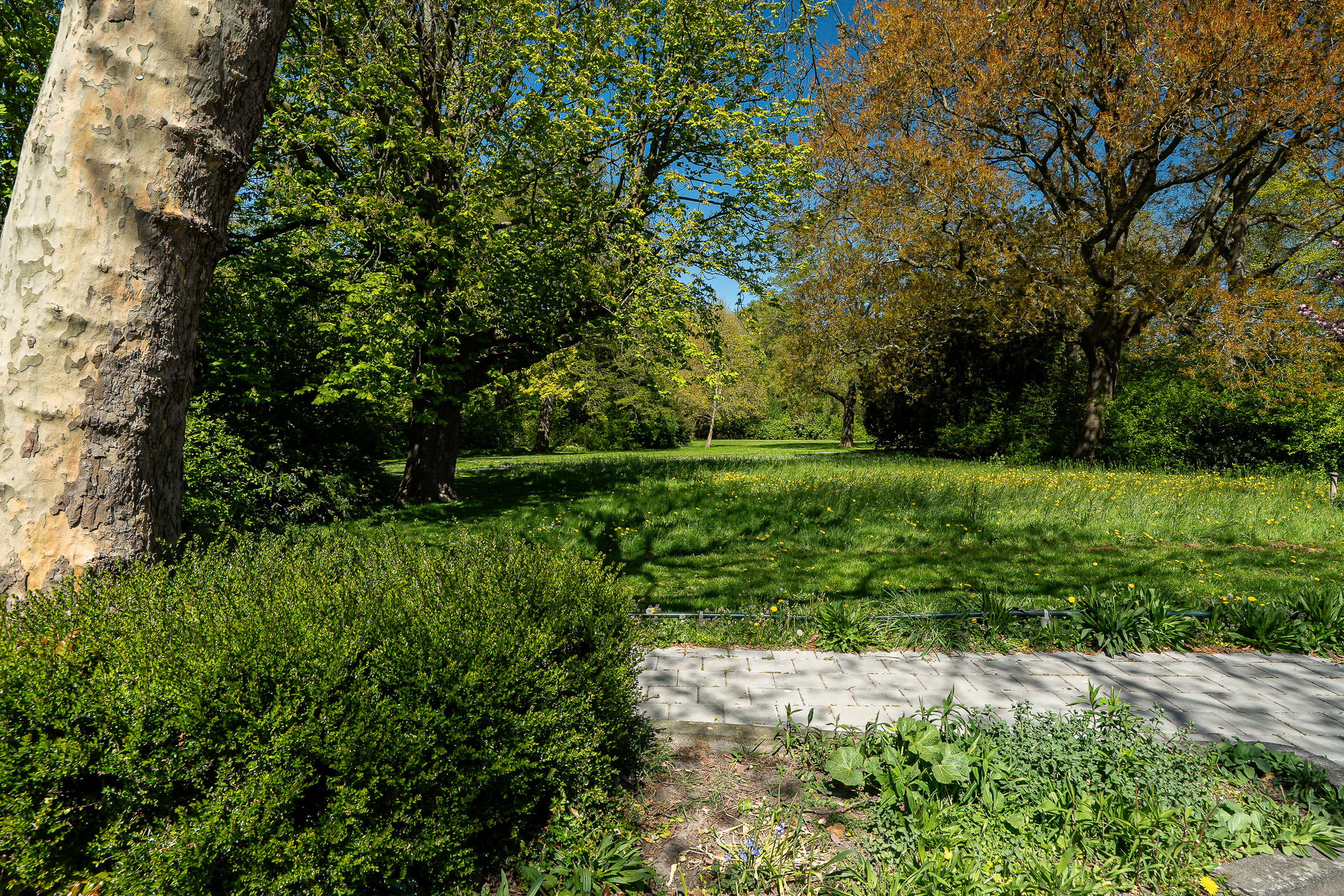 Photo 78 of Pasteurweg 46