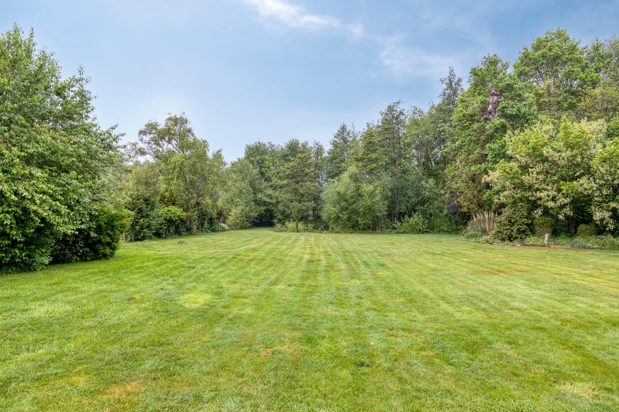 Foto 42 van Haart 31