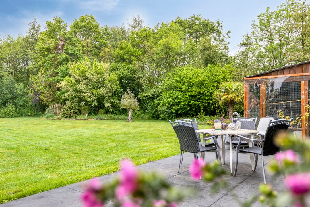 Foto 41 van Haart 31