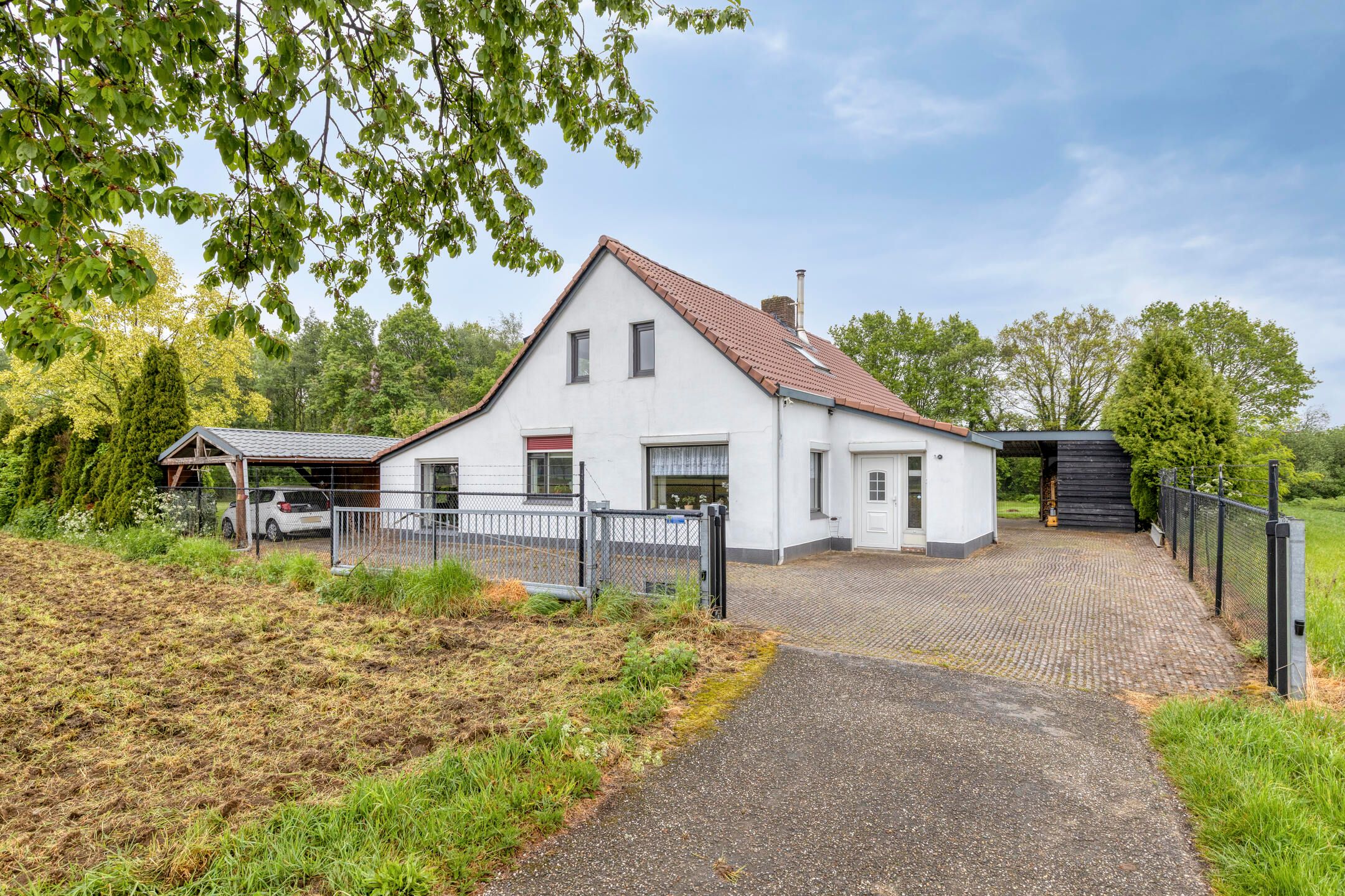 Foto 6 van Haart 31