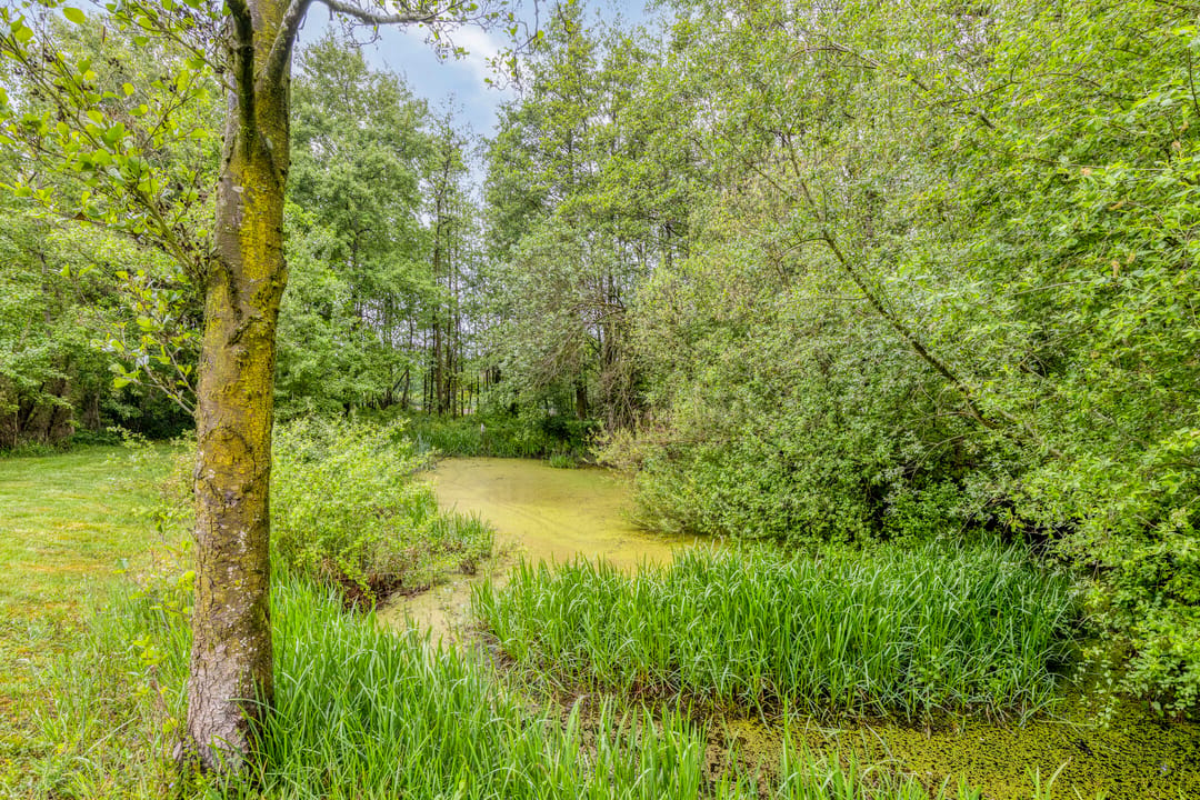Foto 46 van Haart 31