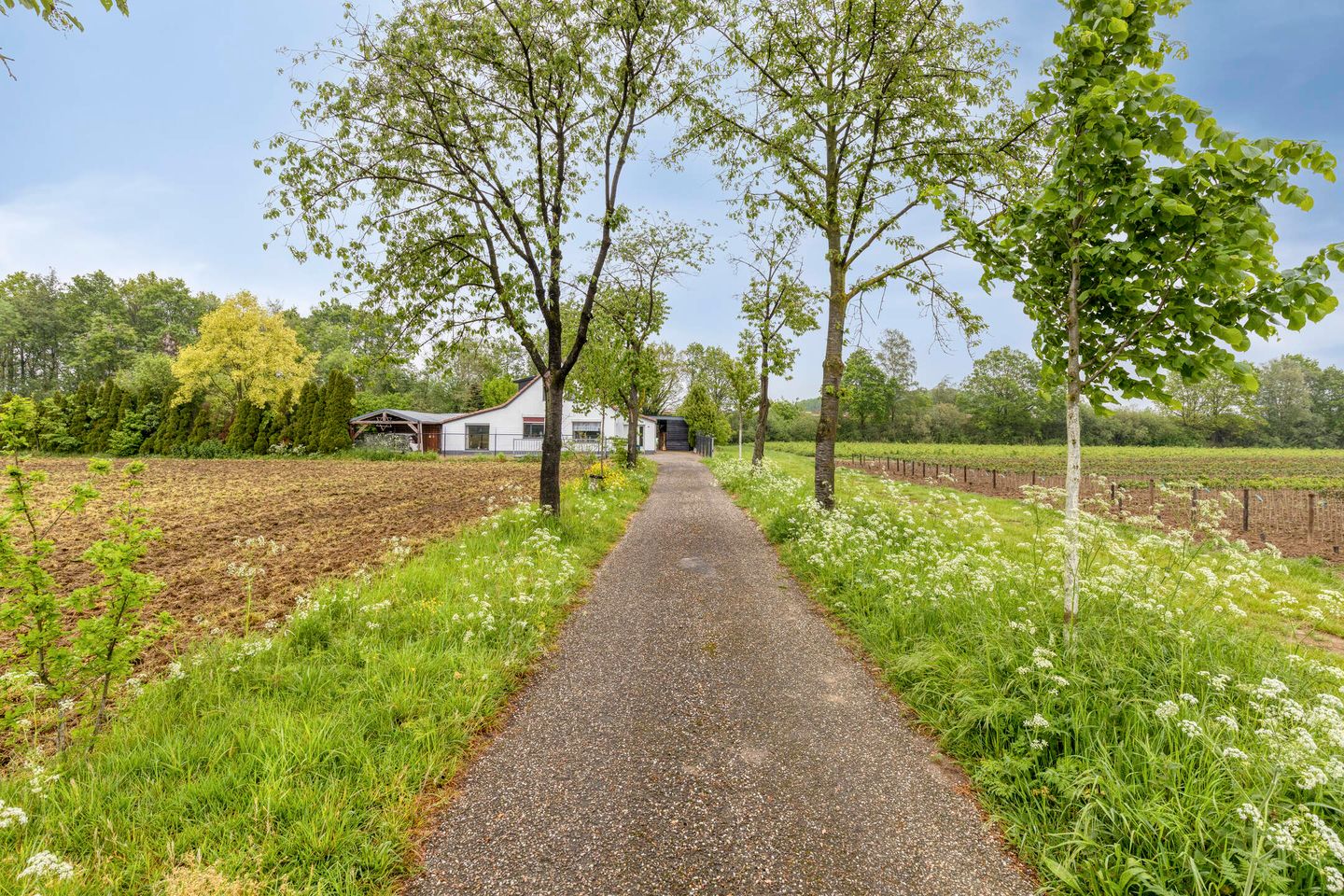 Foto 5 van Haart 31