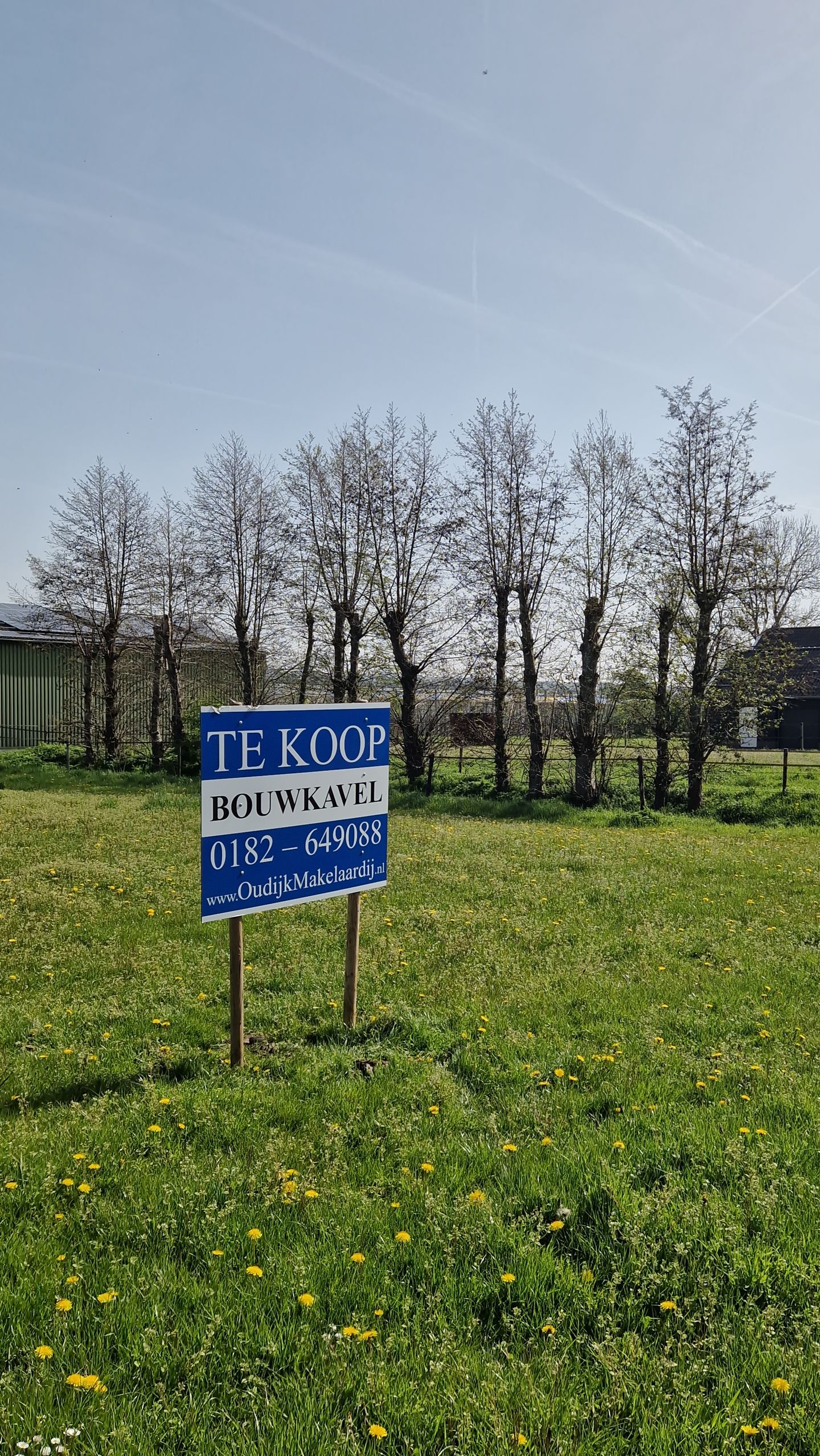 Foto 4 van Knibbelweg