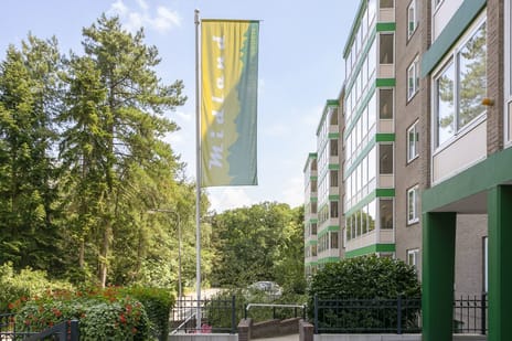 Arnhemse Bovenweg thumbnail