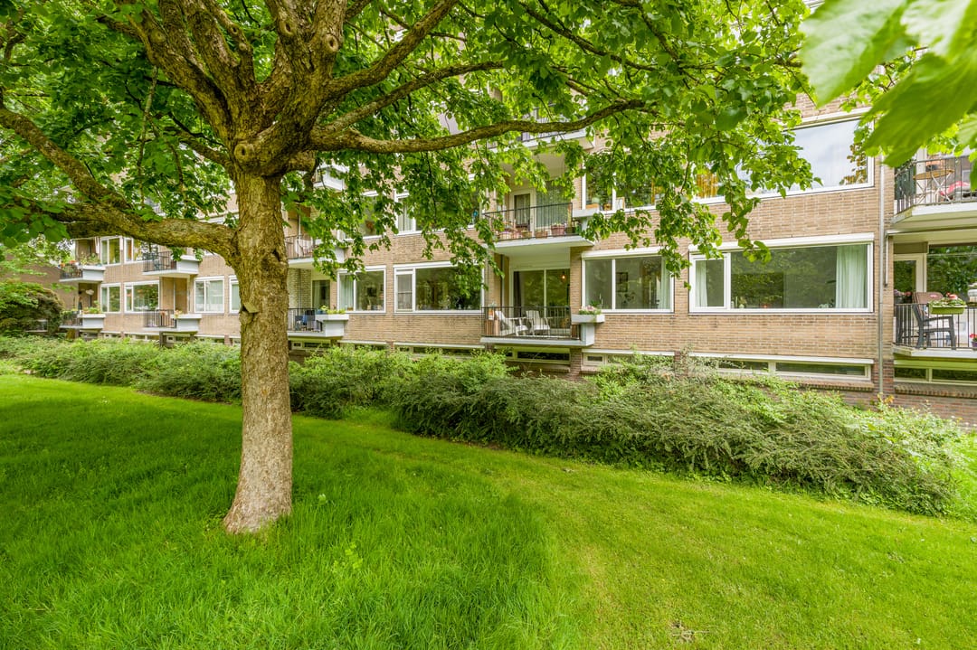Foto 41 van Pruimenlaan 104