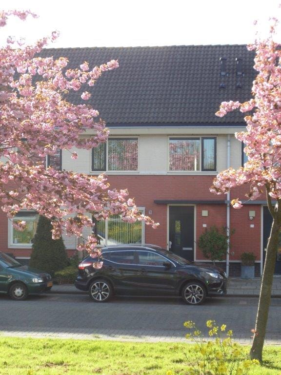 Foto 26 van Burnousstraat 33