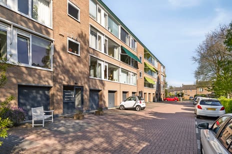 Rijnlaan thumbnail