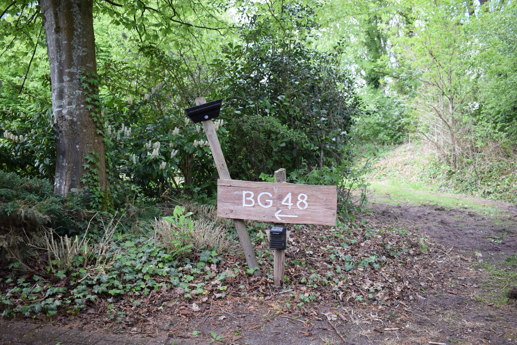 Foto 15 van Het Zwiggelterveld 48