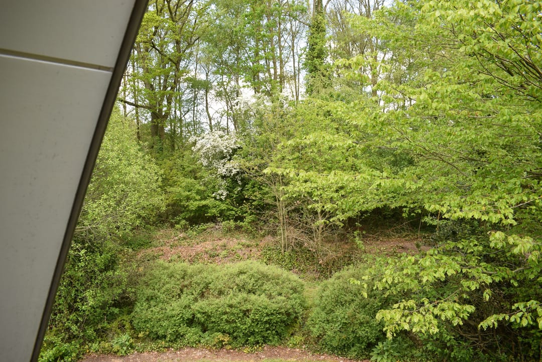 Foto 11 van Het Zwiggelterveld 48