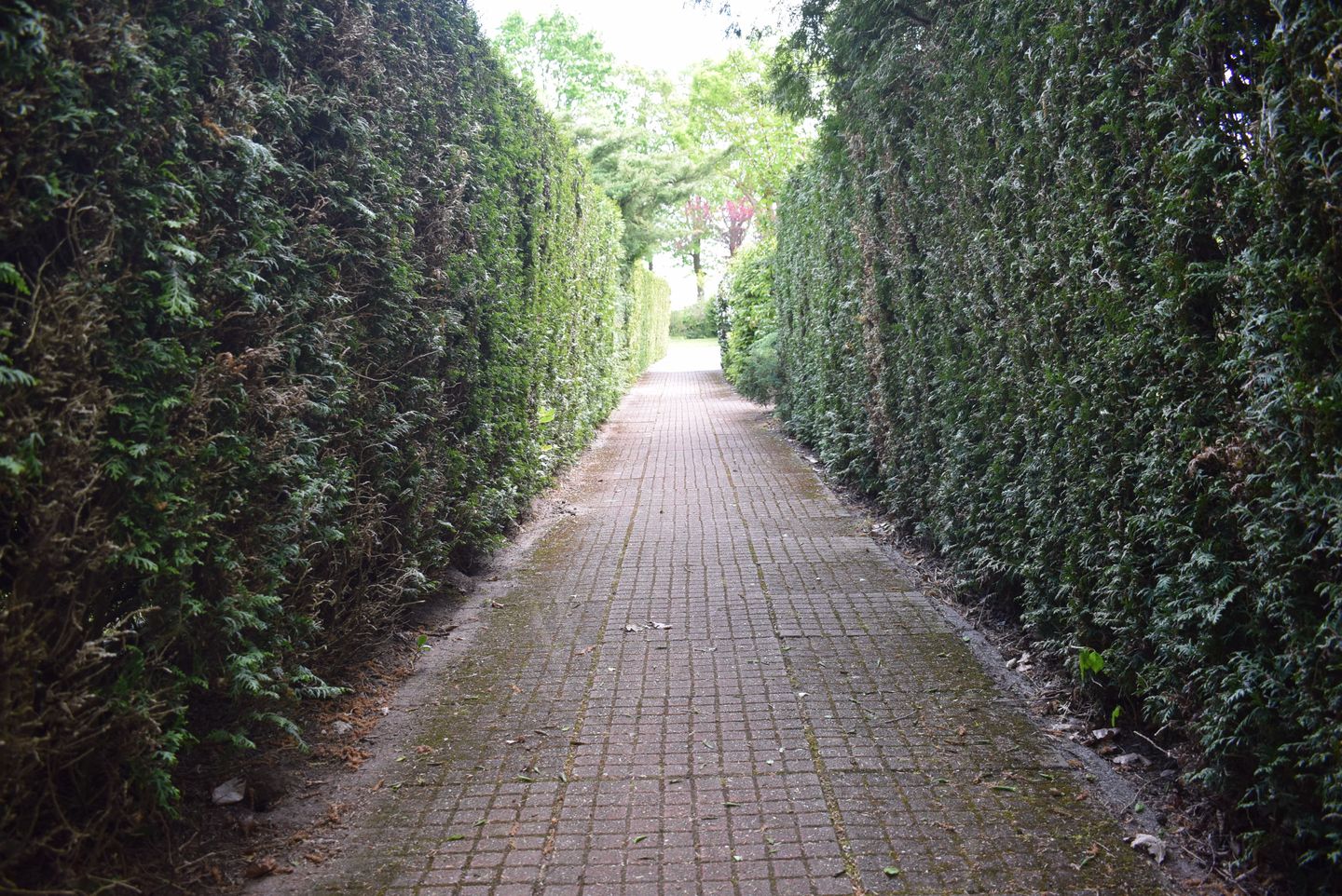 Foto 14 van Het Zwiggelterveld 48