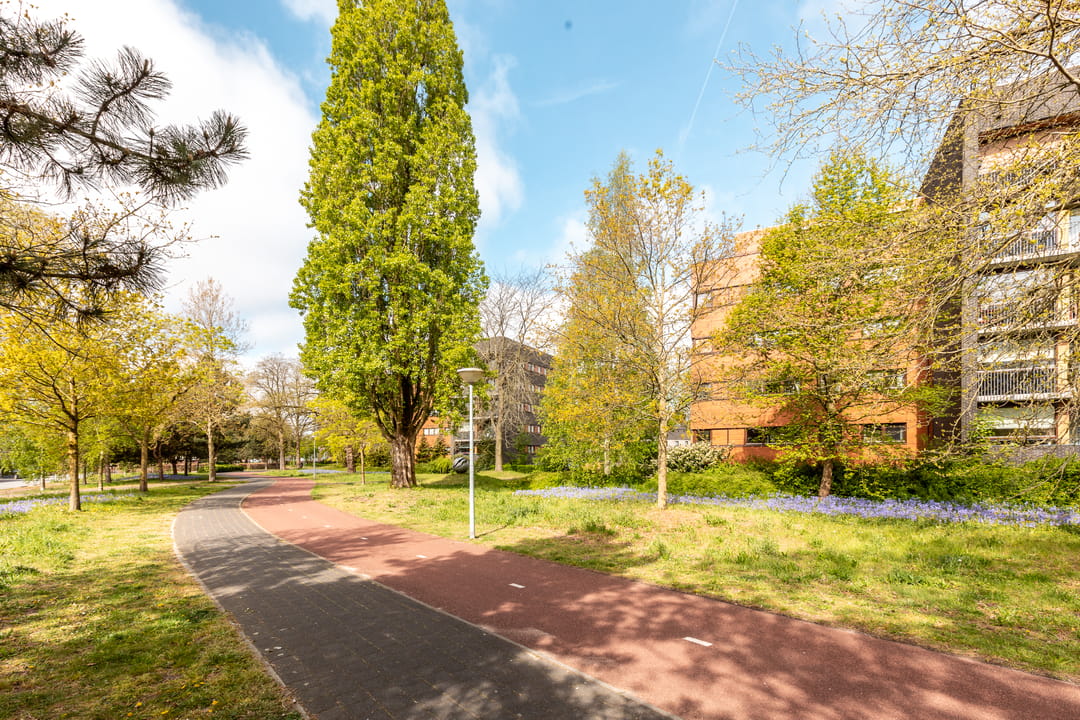 Photo 52 of Vondelpark 54