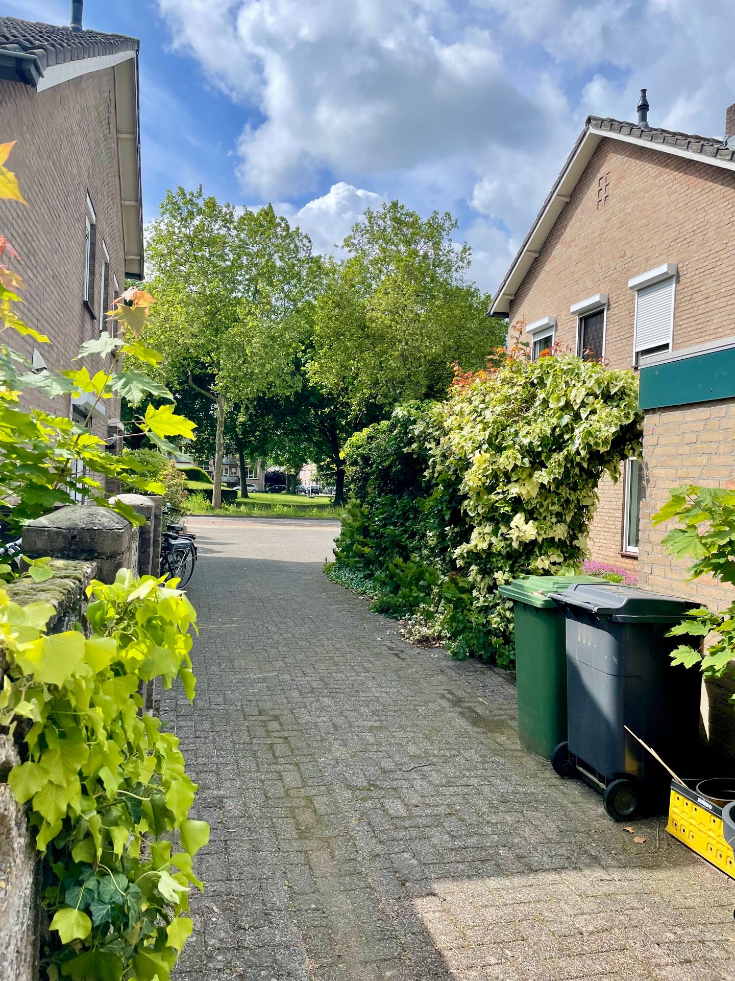 Foto 10 van Burgemeester Gommansstraat 206
