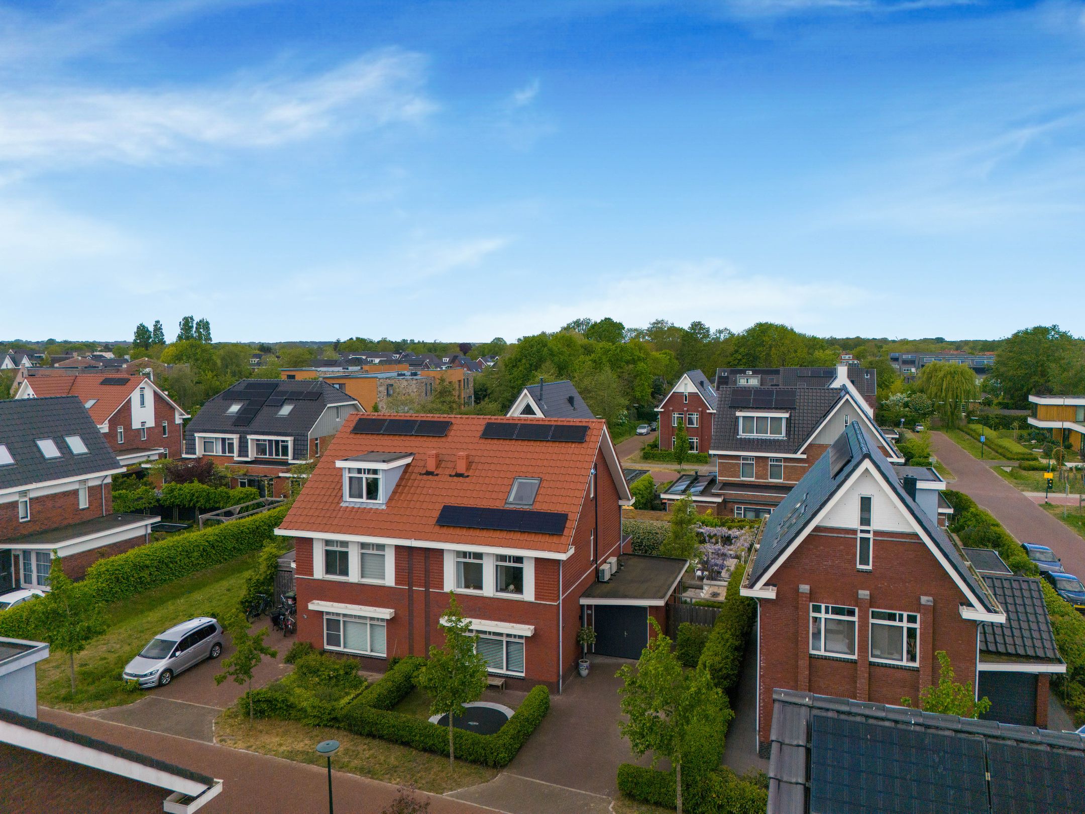 Photo 60 of Lijsterbes 62
