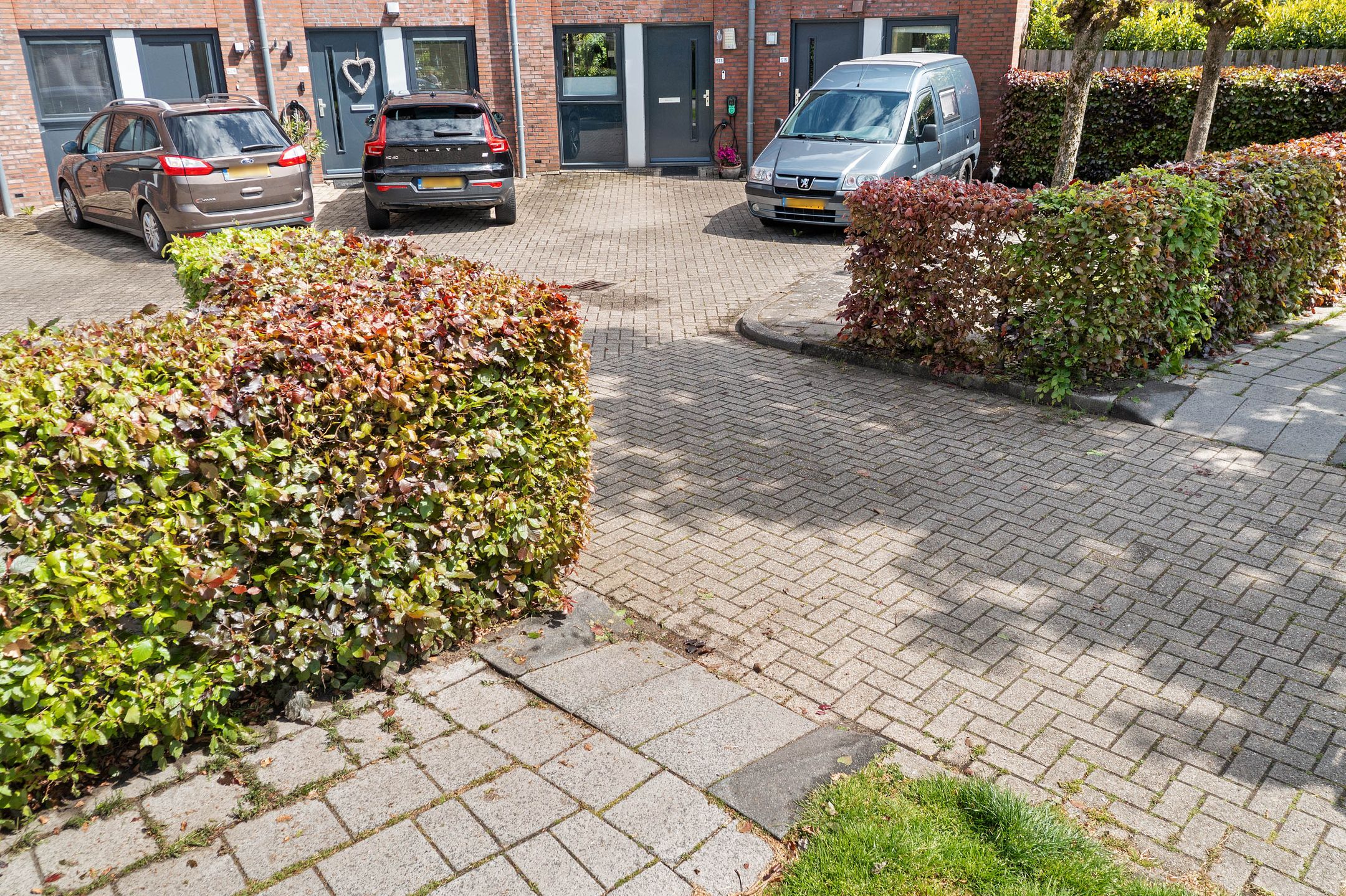 Foto 48 van Keizersmantel 513