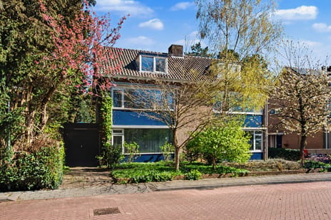 Wilhelminalaan thumbnail