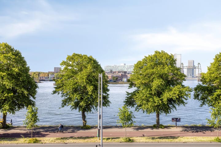 Foto 3 van Oostmaaslaan 231-E