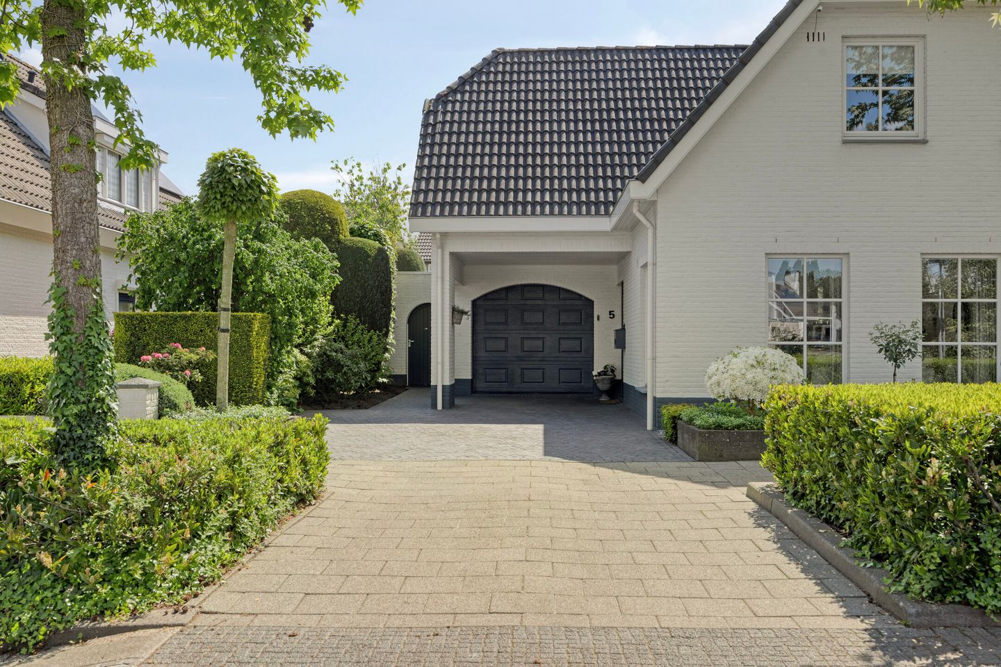 Photo 5 of Arend 5